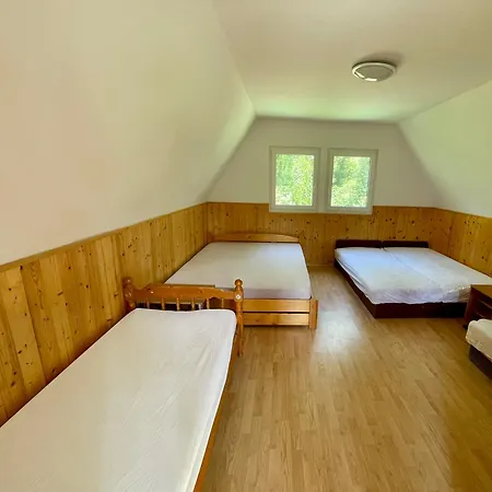 Hajnal Vendeghaz Holiday home *